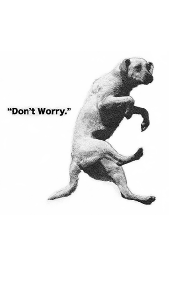 don't worry